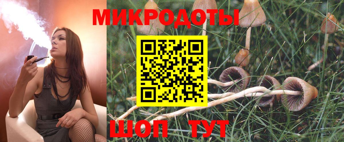 Наро-Фоминск  Галлюциногенные грибы Cubensis  как найти закладки  Вход с VPN 