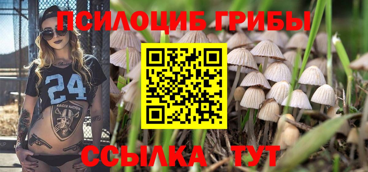 Псилоцибиновые грибы прущие грибы Наро-Фоминск